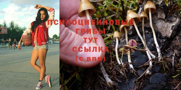 амф Абдулино