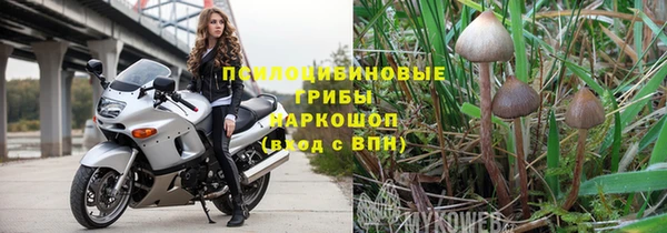 амф Абдулино